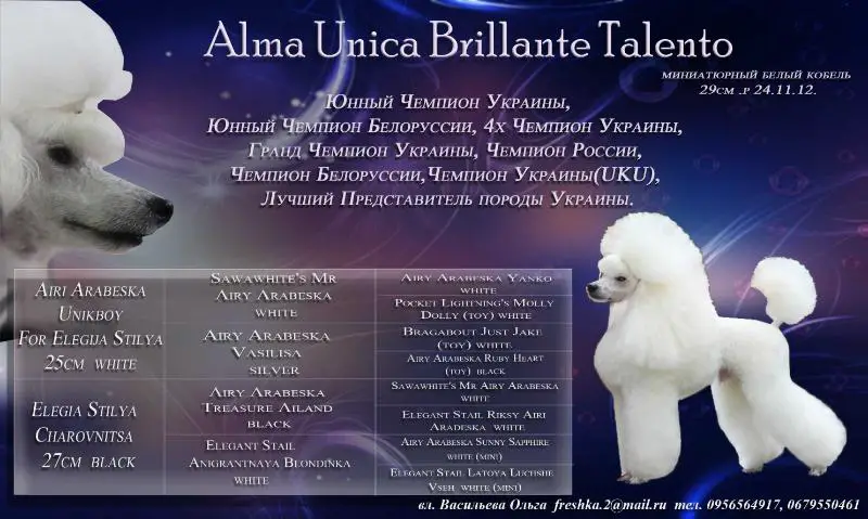 JCH UA,JCH BLR, 4*CH UA, 2*CH RU, CH BLR, GRCH UA,CH UKU,BBB Alma Unica Brilliante Talento