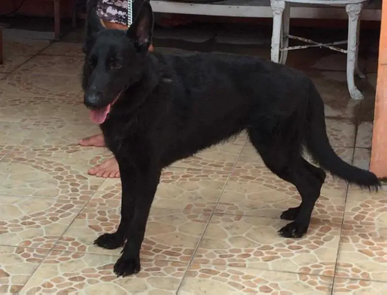 Ashra Lager Berg Krieger