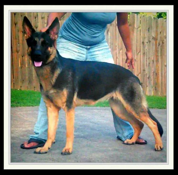 Alexis Von Batu Kramer