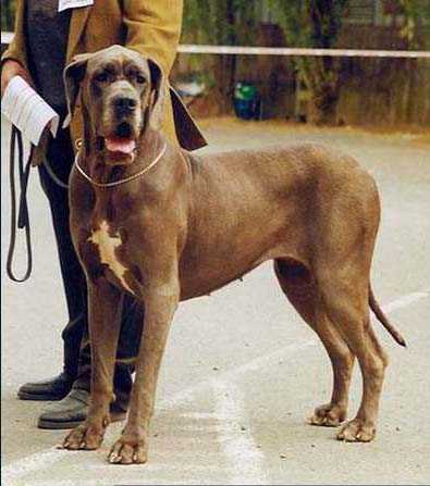 Sagherra de Montbreuil