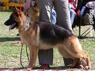 Yuliana iz Smolenskoy Kreposty