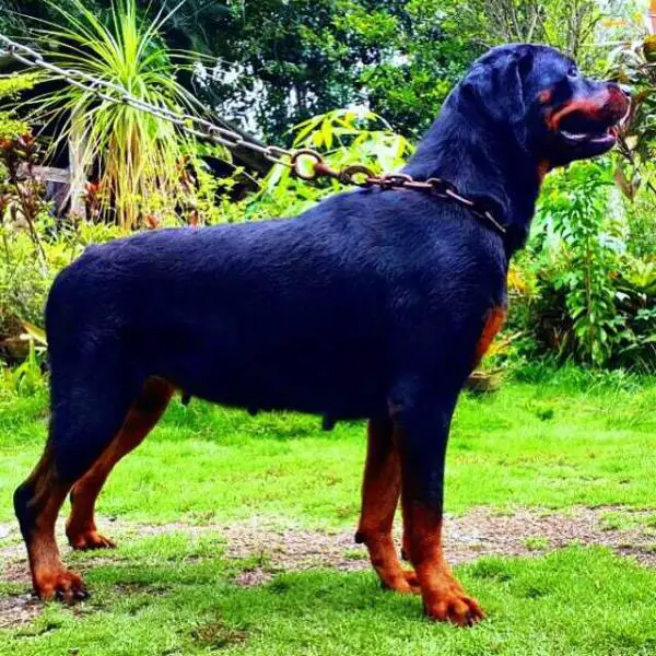 Greenwood's One For You