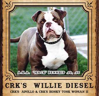 CRK's Willie Deisel