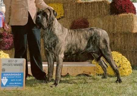 PRECIOUS G WENDOLYN OF PENDLETON