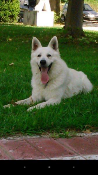 Y-Volgas von der Nordhelle