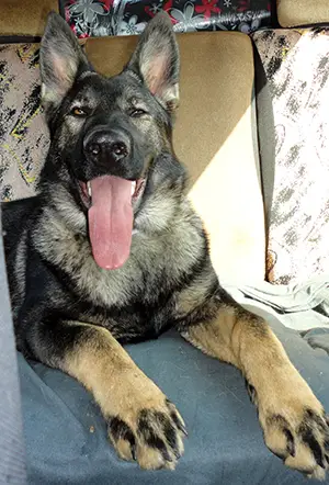 SG Annet z Malého mesta