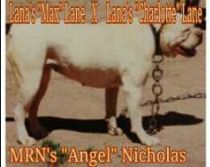 M.R.N. Angel Nicholas