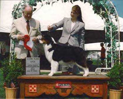 Tuscaroras You're so Smitten