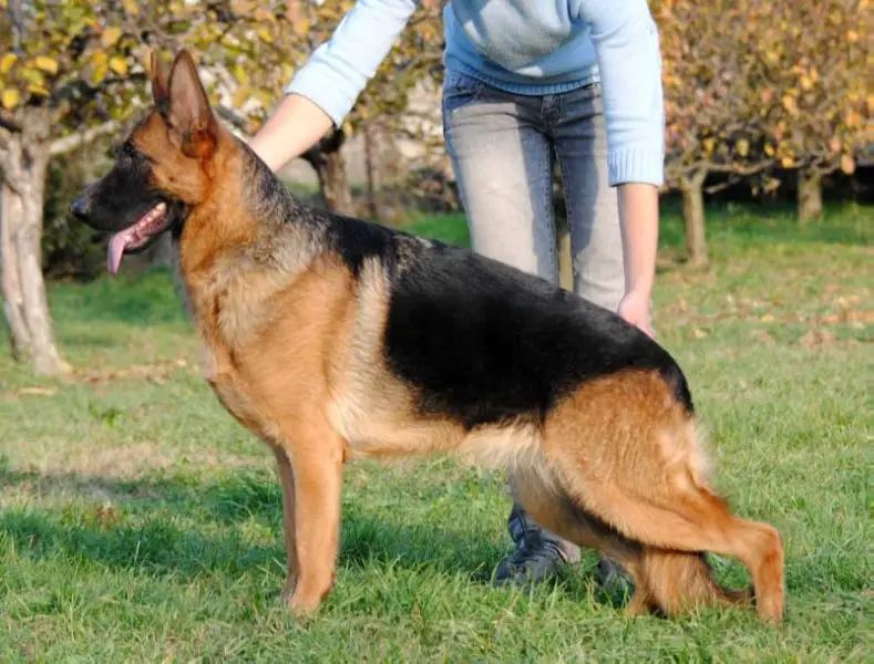 Timi van Contra Haus