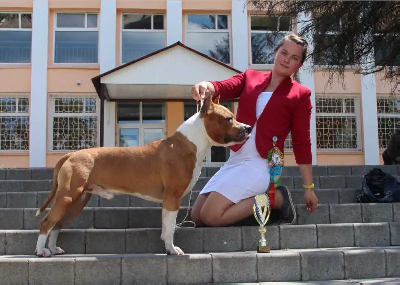 JCHRus, BLR CHRus BLR,RKF. Feierverk Powerful Lion