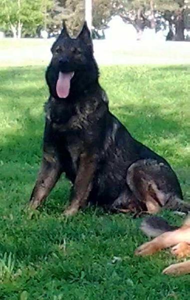 Sable Mae Seckler Of Salem Sunset