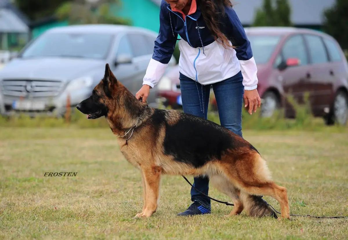 SG Frosten Rusland Yakata