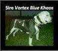 Vortex Blue Khaos