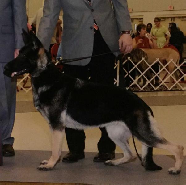 Friar Parks Portia Von Weinfurtner