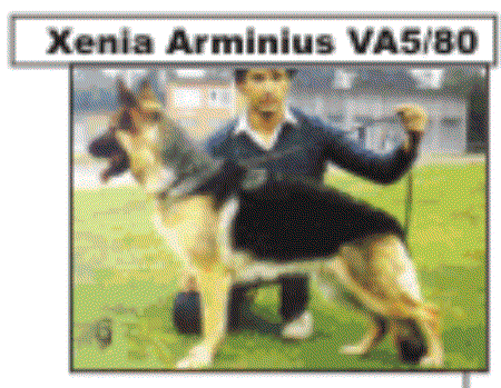 VA5 Xenia von Arminius