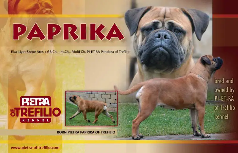 Bornpietra Paprika of Trefilio