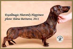 Excellmagic Heavenly Happiness