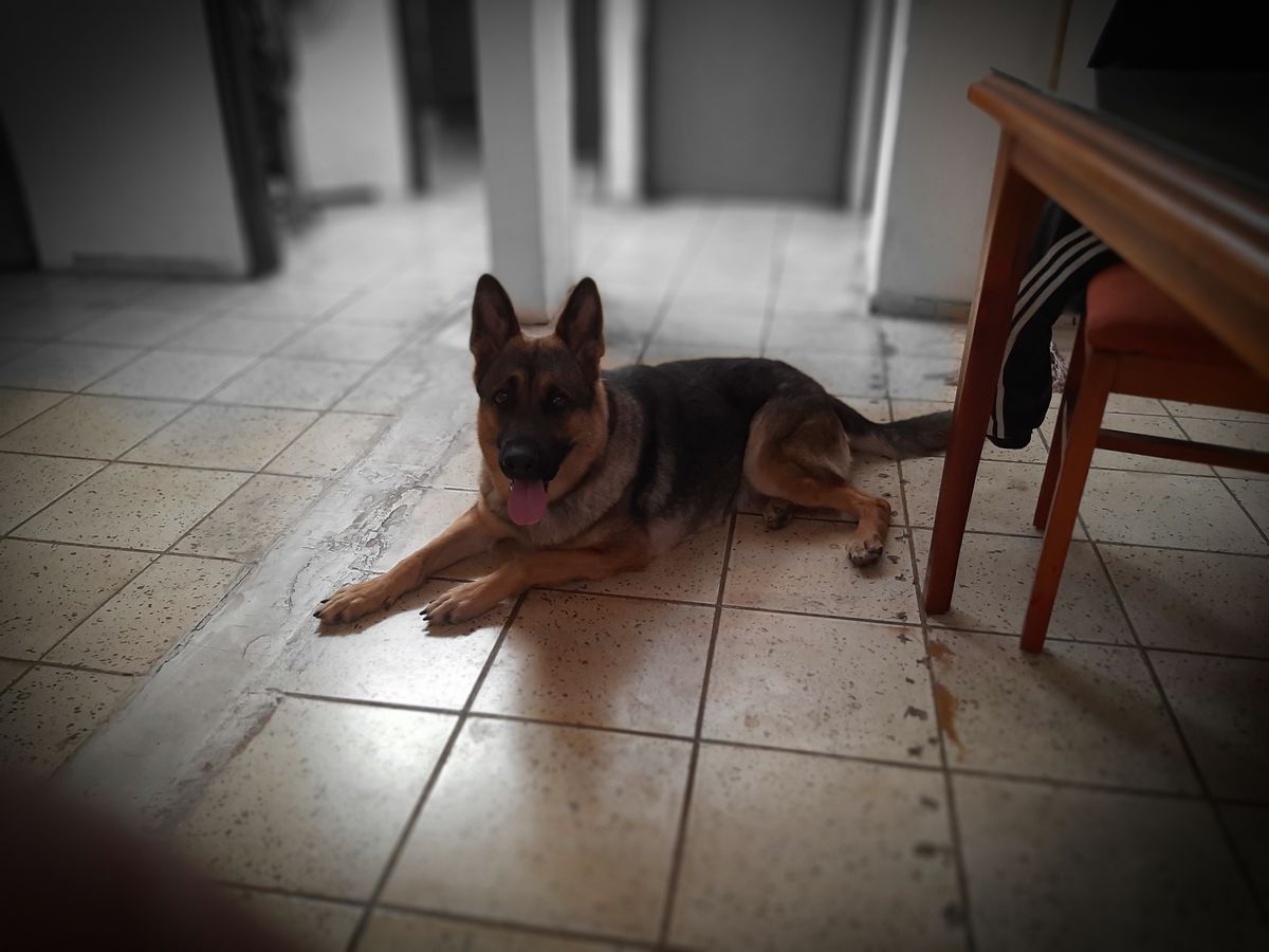 KERRY (FLORES) MEX. FCI.