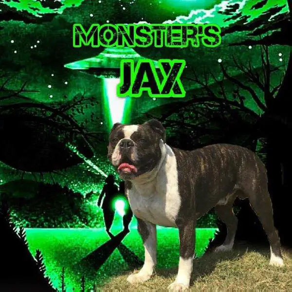 Monster's Jax