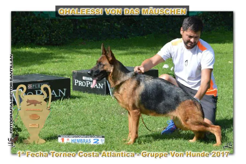 Qhaleesi Von das Mäuschen