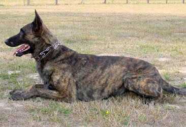 Titan I des Crocs de l'Olympe 2002