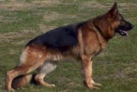 V Indo vom Geesthügel