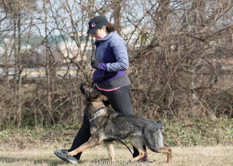UJJ Hattie Vom Germelhaus
