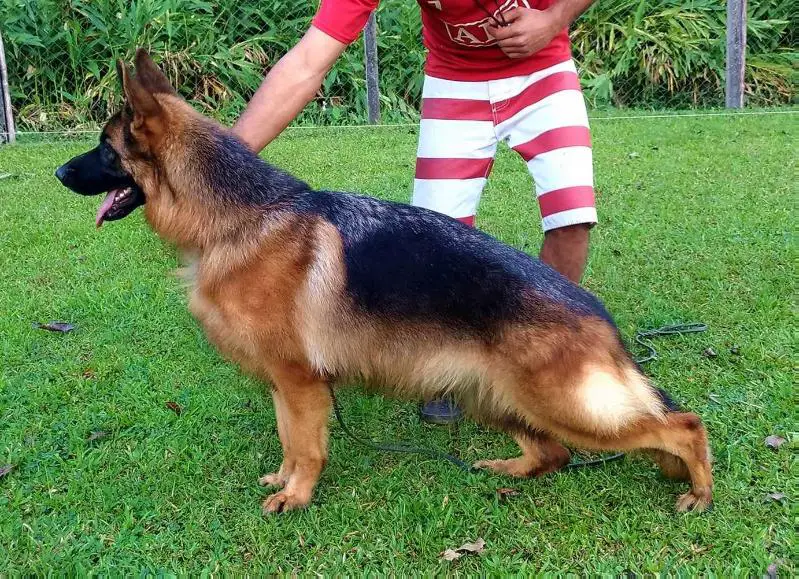 SG2 BRA 2016 Wally von Haus Zipf