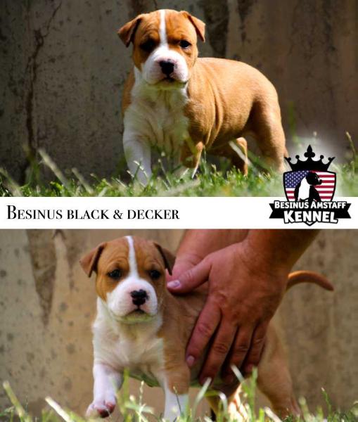Besinus Black & Decker