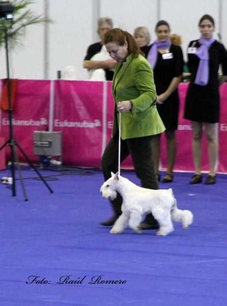 Ch. España 2012. Ch. Luxemburgo Ch. Rusia. Made in Spain Saltimbanco