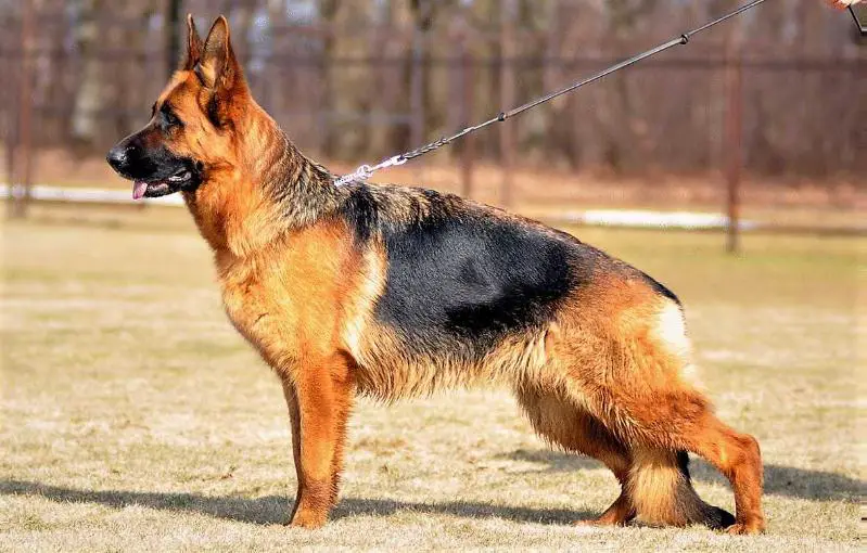 Zavist Bogov Ekaterina