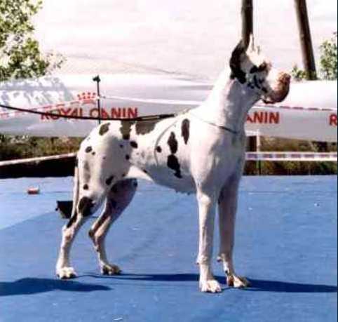 CH FRA Rasoherina de la Benjamine