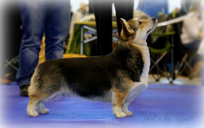 Ekspo-Margaret's Fam Fatal