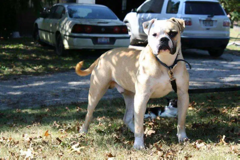 Secrest's Havoc of strange's