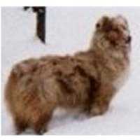 Countrywoods Full Of Grace