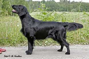 SE U(U)CH FI UCH Almanza Absolute Exodus