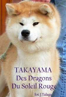 U'Takayama Go Des Dragons Du Soleil Rouge