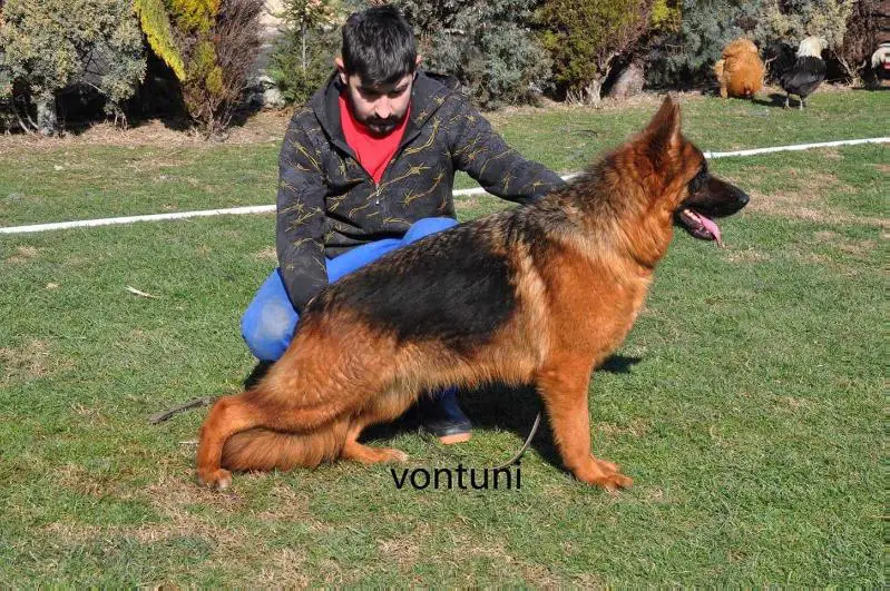 urma von der kocaeli