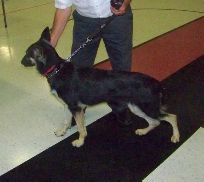 Big & Beautiful Frau-Lein Elizabeth