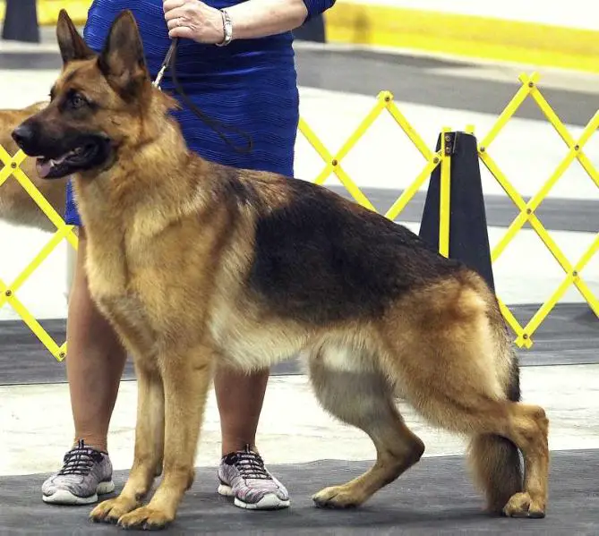 Dubois vom rivergreen