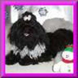 Mitshu All That Jazz JiDu