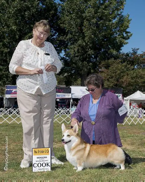 GCH CH TROMBA'S BANDOLINO