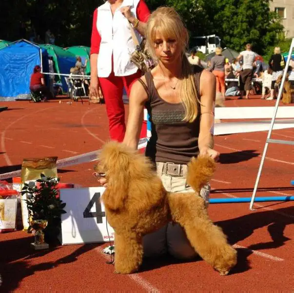 Ansvel Russian Revolutionist