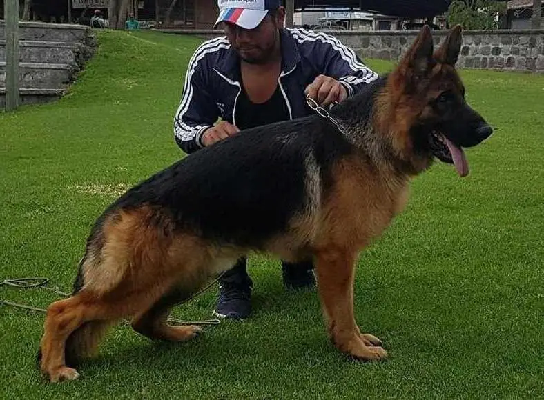 Roby Di Casa Caputi