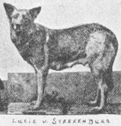 Lucie von Starkenburg