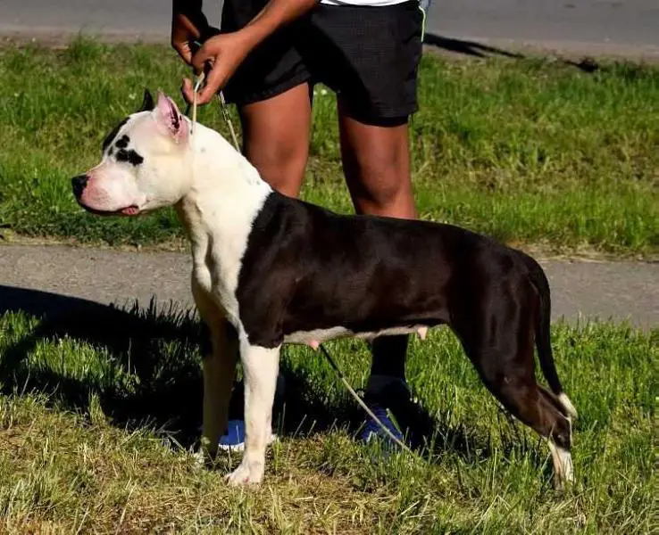 King Of Rings Hela aka Hella