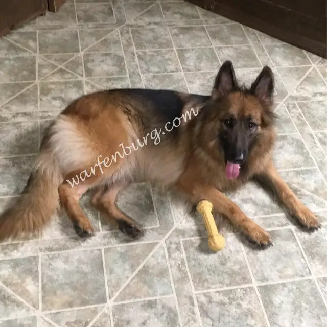 Greylyn Grace Von Warfenburg