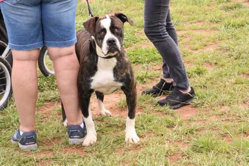 JR CH LCK's Evil Queen of GTC