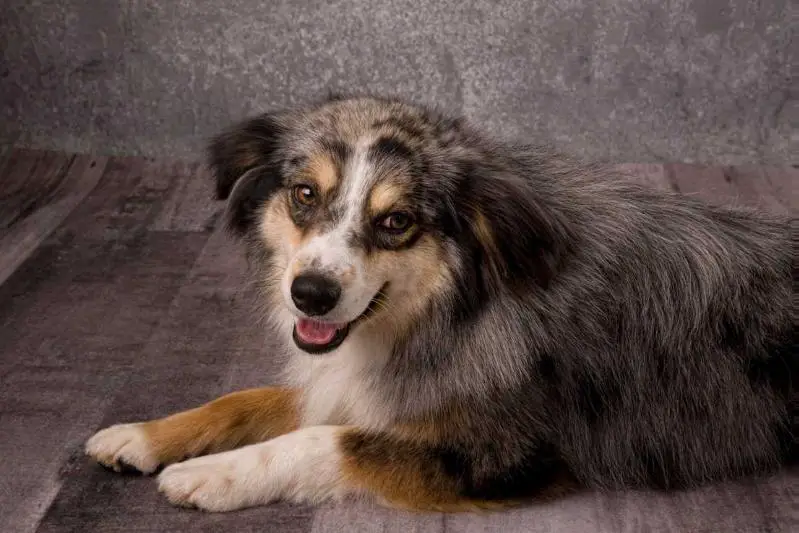 Anitas Drifting A Blue Levi