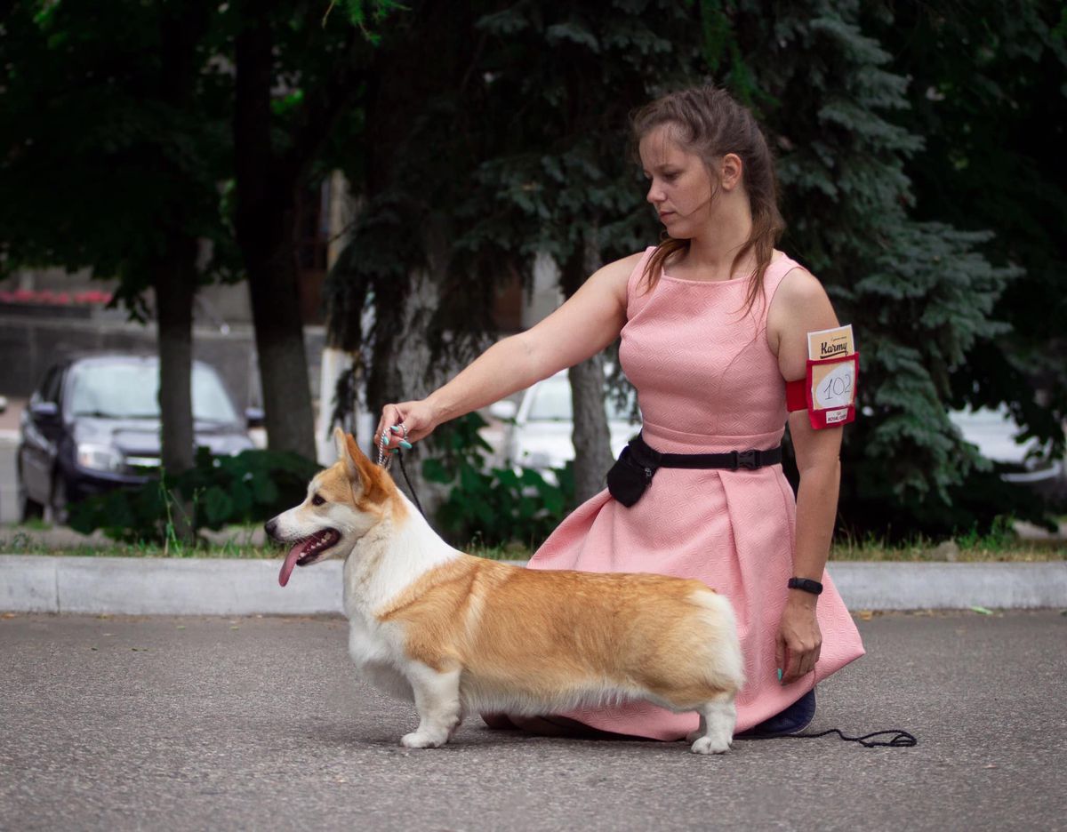 Kotomin's Limerens of dream